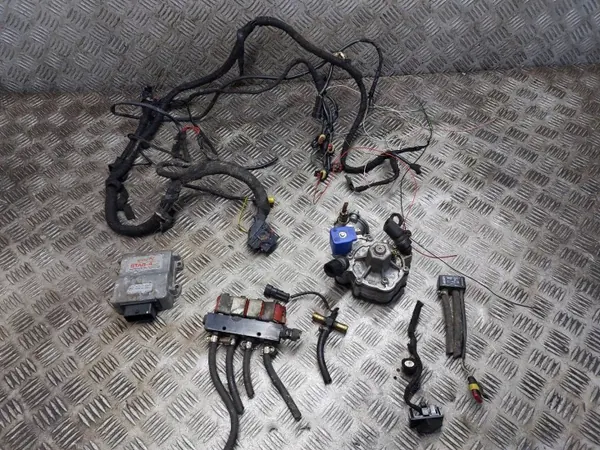 LPG-kit OEM 67R-014903 Stag-4 Eco Valtek Rail image 2