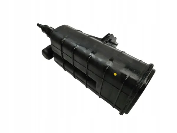 Filtro de carbón Dacia Duster II H8201588838 image 2