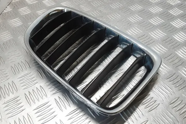 Griglia BMW X1 (E84) 2011 image 2