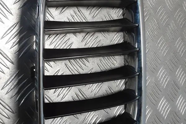 Griglia BMW X1 (E84) 2011 image 5