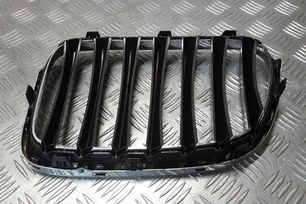 Griglia BMW X1 (E84) 2011 image 6