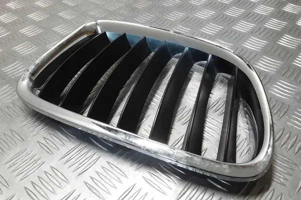 Griglia BMW X1 (E84) 2011 image 7