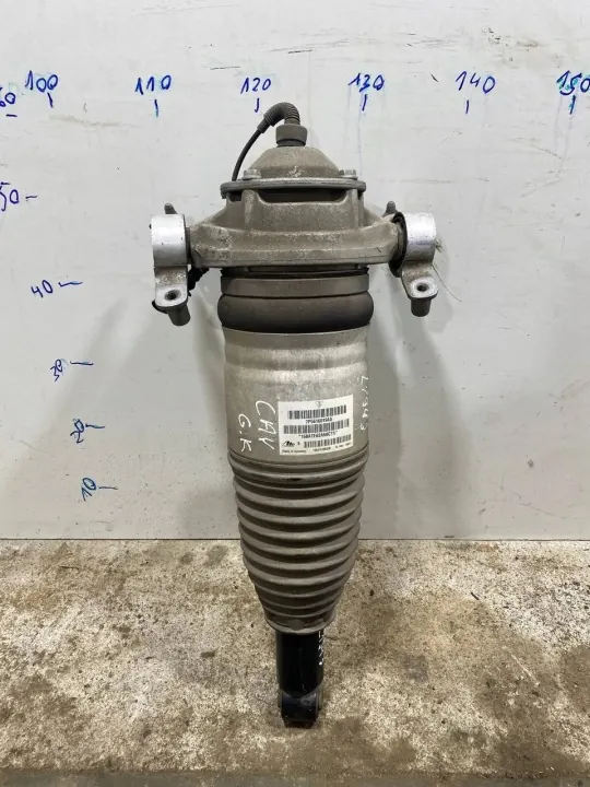 Amortisseur Porsche OEM 7P5616503AC Arrière Gauche image 2