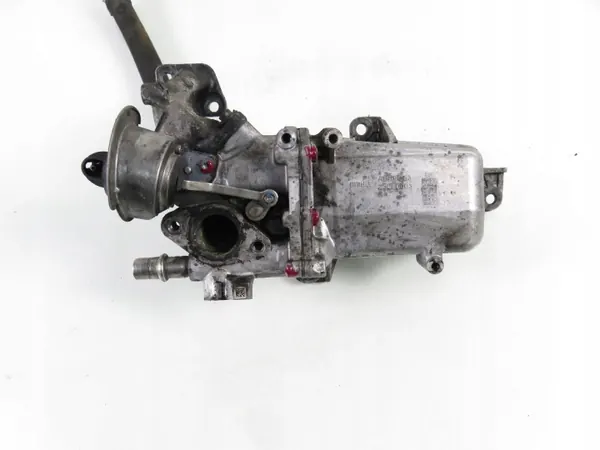 Refrigerador de escape OEM 147355238R para Renault Master image 4