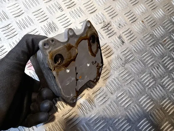 Resfriador de óleo Volkswagen Touareg II 03H117021D image 3