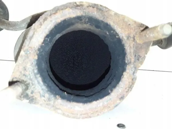 Catalyseur OEM 55186254 pour Alfa Romeo image 6