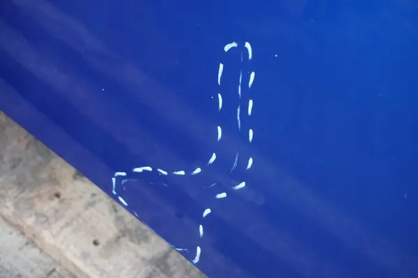 MITSUBISHI COLT Z36A Capô MN161899 image 5