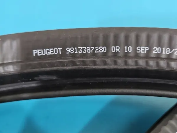 OEM 9813387280 Voorrechter deurrubber voor Peugeot 508 II image 4
