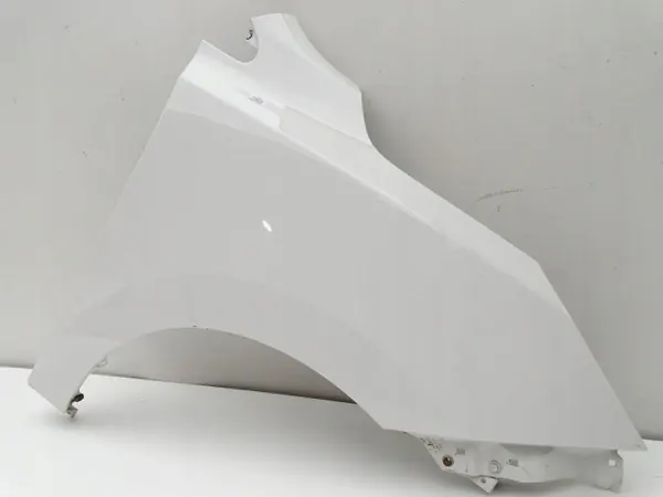 Voorspatbord rechts voor geverfd TCW Hyundai IX35 09-13 image 3