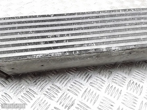 Renault Laguna Kylare 2010 2000 Bensin OEM 144960001r image 5