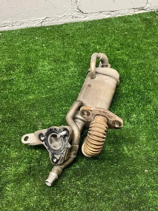 Refroidisseur d'échappement Nissan OE 147350364R Occasion image 2