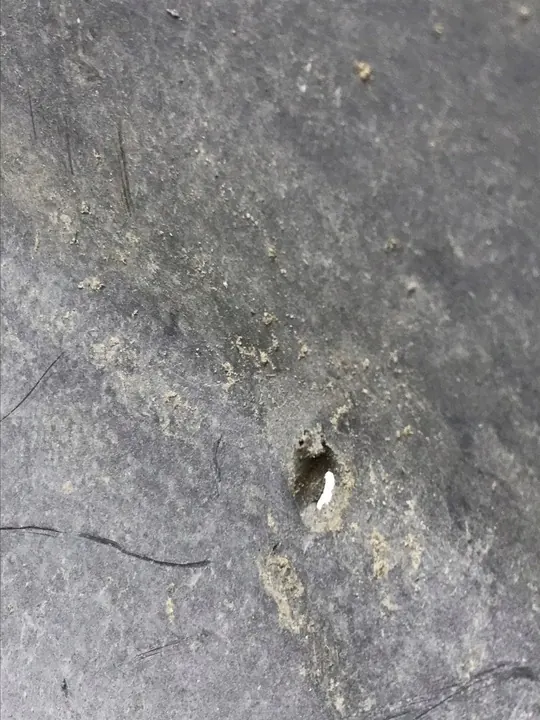 TESLA 3 Front Left Wheel Arch 1081581-00-D image 7