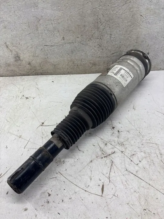 Land Rover DPLA3C286BG Voor linker schokdemper image 2