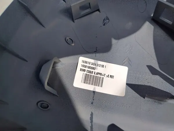 Citroen OE 1608180980 Peilin Kotelo image 3