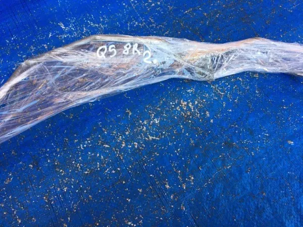 Audi Q5 8R Vaihteistoöljyputki OEM 8R0317825D image 8