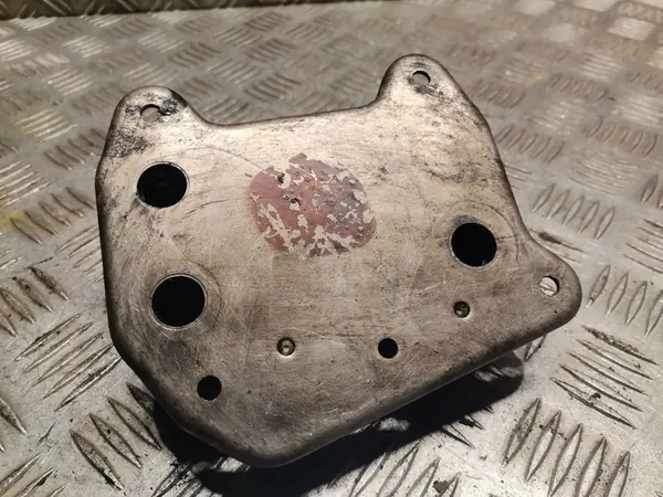 Radiador de óleo Mercedes-Benz E W211 image 3