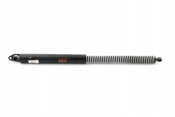 Mola porta-malas BMW E65/E66 OEM 7042104 Esquerda image 7