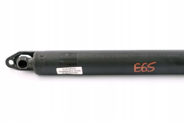 Mola porta-malas BMW E65/E66 OEM 7042104 Esquerda image 8