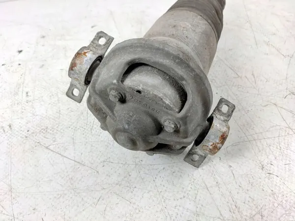 2010 Porsche Cayenne Ammortizzatore Pneumatico Posteriore 7L6512021AG image 4