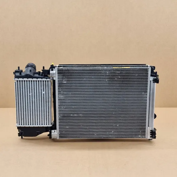 Conjunto de Ventilador de Refrigeración Renault Megane VI Scenic IV Talisman image 4