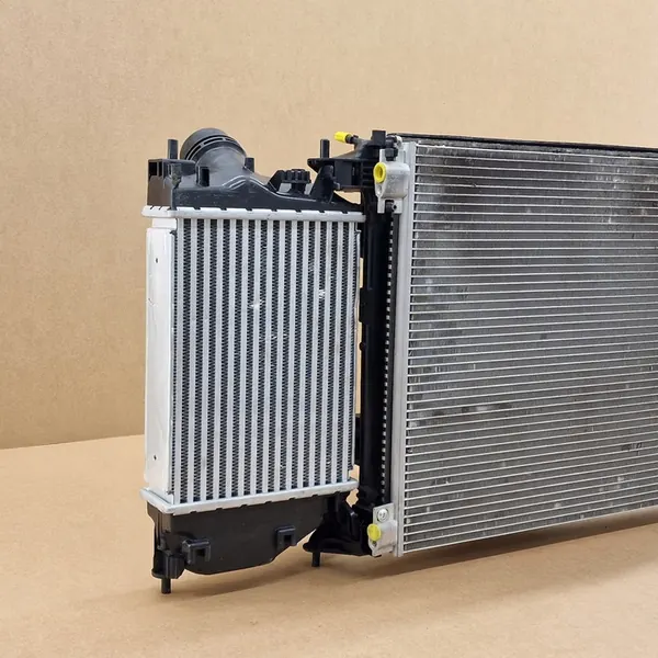 Conjunto de Ventilador de Refrigeración Renault Megane VI Scenic IV Talisman image 6