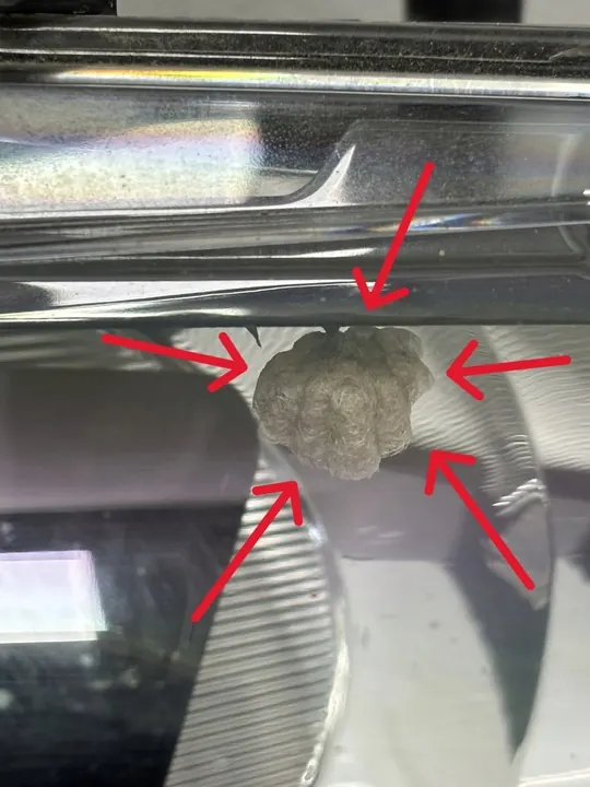 Linker Koplamp Citroen C4 Cactus 9800901380 image 4