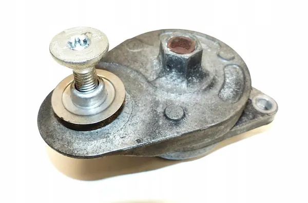 Tendeur de courroie OEM BH42-6B209-AA pour Range Rover image 2
