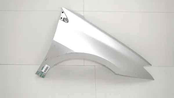 Guardabarros delantero derecho OEM 371116599 para Renault Laguna III image 2