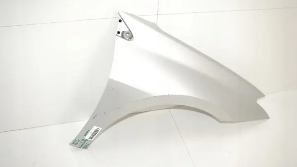 Guardabarros delantero derecho OEM 371116599 para Renault Laguna III image 4