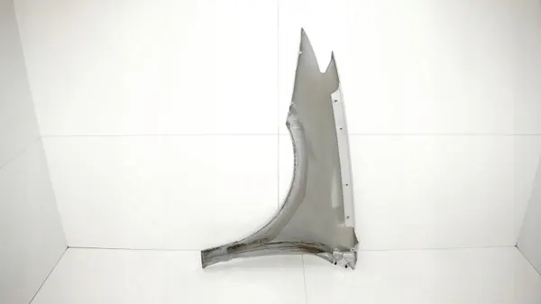 Guardabarros delantero derecho OEM 371116599 para Renault Laguna III image 9