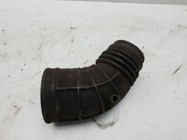 BMW 3 E46 1999 Jäähdyttimen Letku image 2