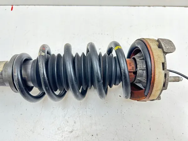 Amortizzatore posteriore Porsche 911 997 2009 con molla 99733305330 image 2