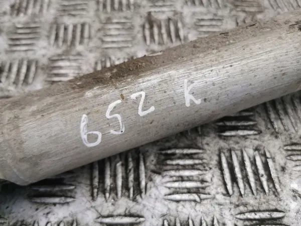 Ammortizzatore posteriore sinistro BMW 5 E39 2000 OEM 1093646 image 4