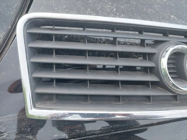AUDI A6 C5 LIFT 01-04 Grill Mask image 4