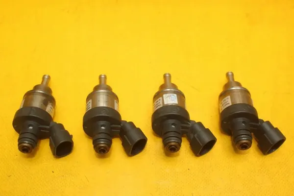 Injector GPL OEM 110R004686 67R 010213 image 3