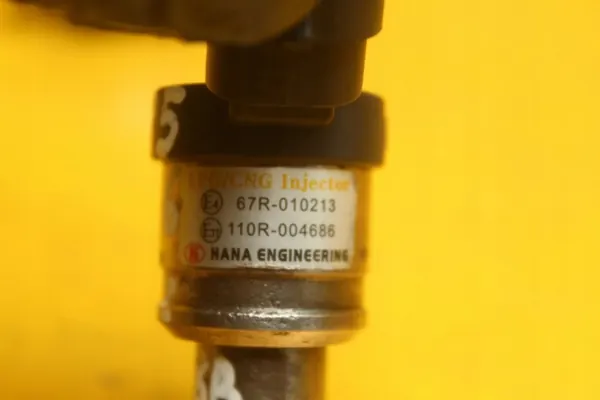 Injector GPL OEM 110R004686 67R 010213 image 9