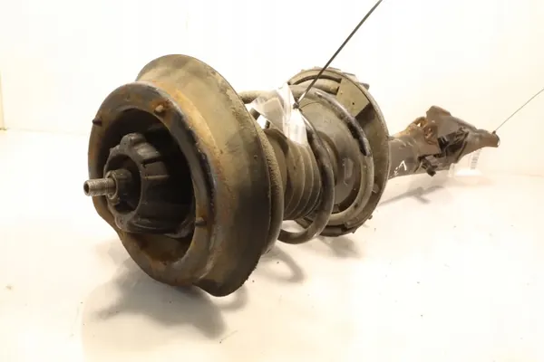 OEM 123456 Voor linker schokdemper Mercedes C-Klasse W203 image 5