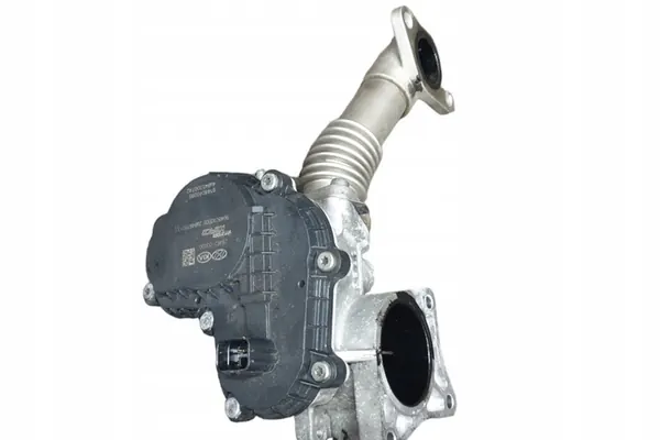 KIA SPORTAGE (QL) Vergaser 1.6L Diesel 2019 OEM image 2