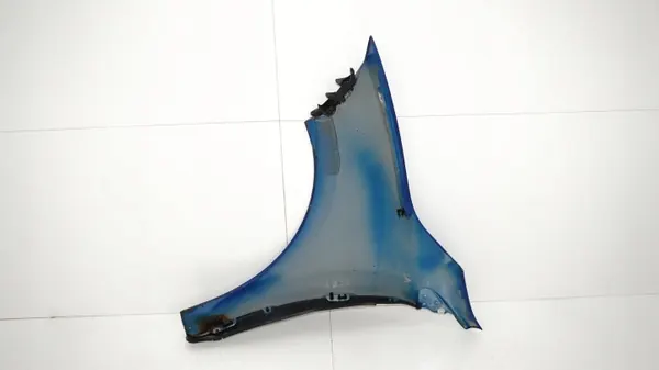 OEM 365578040 Etu-oikea lokasuoja Renault Megane III:lle image 9