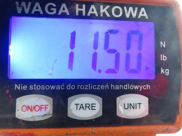 Etumoottorituki OEM SANKI PRZÓD Toyota Yaris I:lle image 9