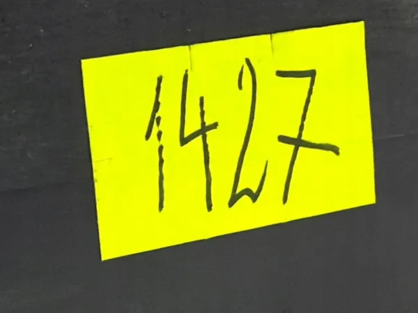 Contrôleur de frein à main électrique Land Rover Discovery III image 9