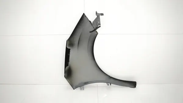 Para-lamas dianteiro esquerdo OEM 375485275 Citroen DS3 image 10