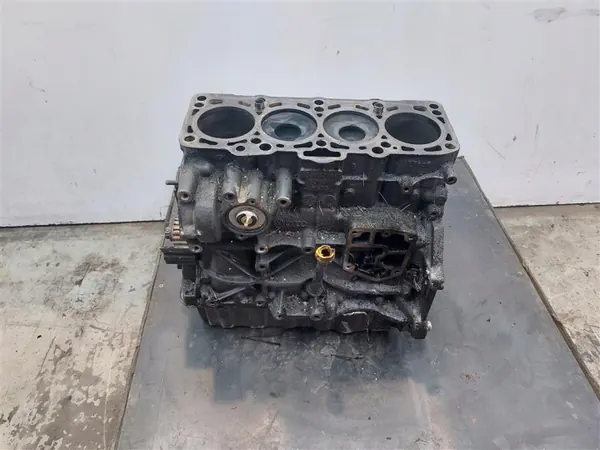 Motorblok BXE REMI voor VW Golf Plus 1.9 TDI image 2
