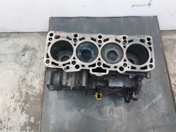Motorblok BXE REMI voor VW Golf Plus 1.9 TDI image 9
