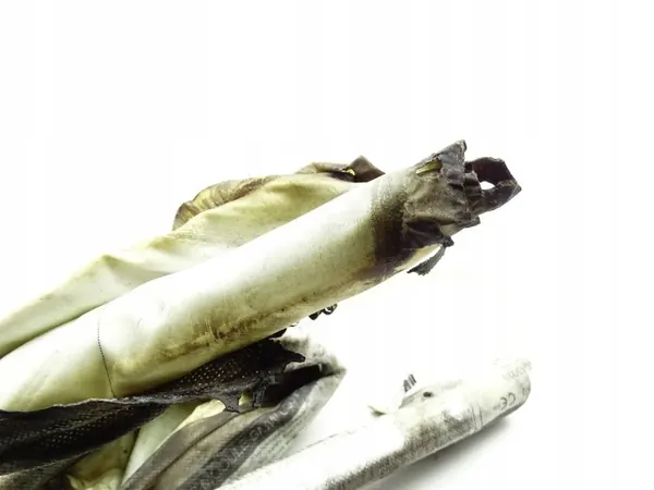 OEM 7372518 Cortina Airbag Direita BMW 5 G30 F90 image 3