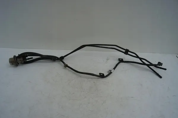 Injecteur AdBlue Mercedes-Benz C W205 2014 A0004901113 image 1