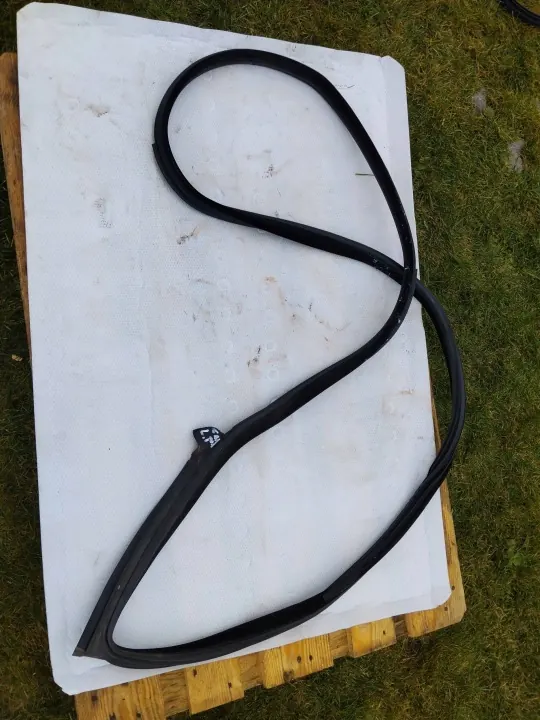 Junta porta dianteira esquerda BMW 6 Coupé F13 OEM 7221325 image 6