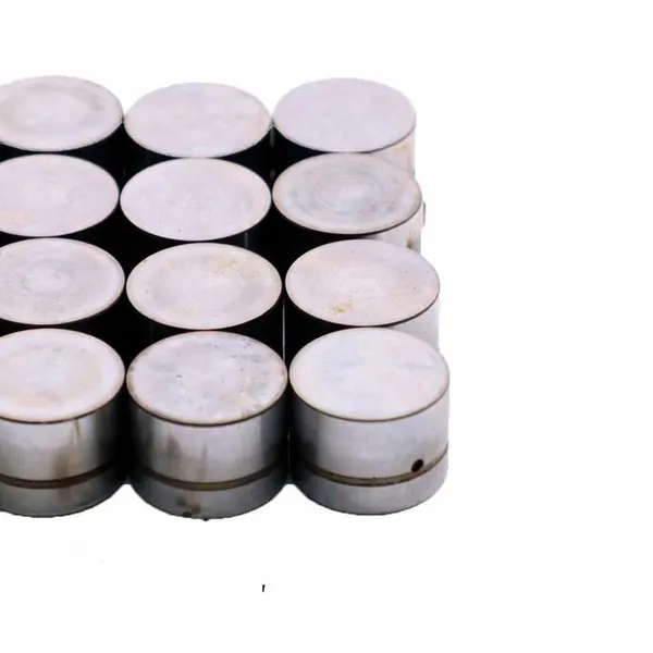 BMW E38 E39 X5 E53 4.4i M62 Válvula Empurrador 16pcs image 4