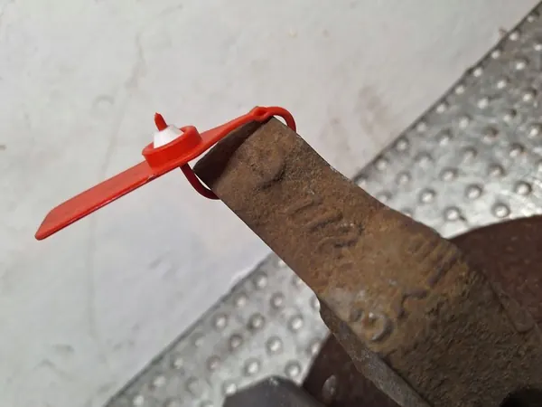 Snodo anteriore destro Renault Sandero I Logan I image 2