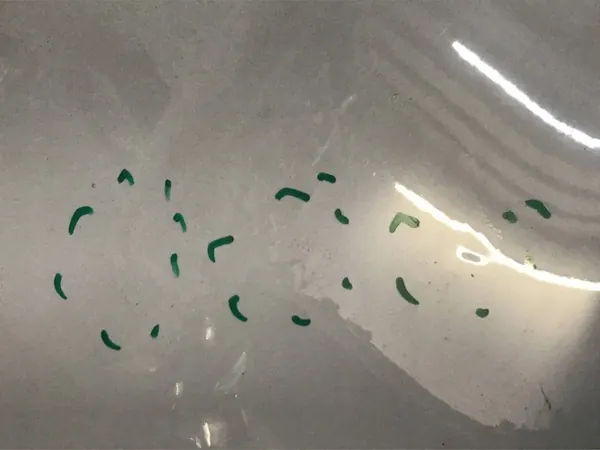 BMW 5 F10 F11 LCI Framskydd Grå 41617207194 image 4